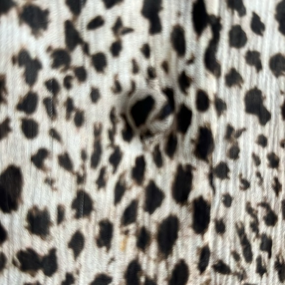 Leopard Print Blouse - Picture 4 of 4